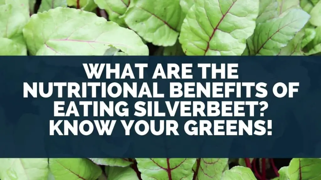 What Are The Nutritional Benefits of Eating Silverbeet? Know Your Greens!