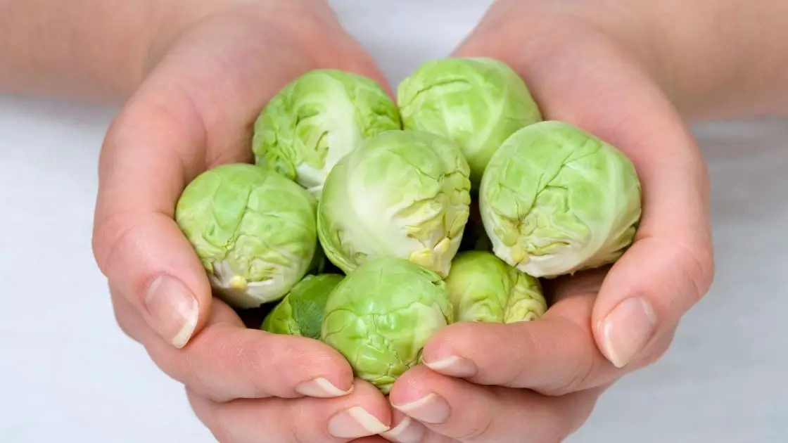 What Do Brussel Sprouts Taste Like?