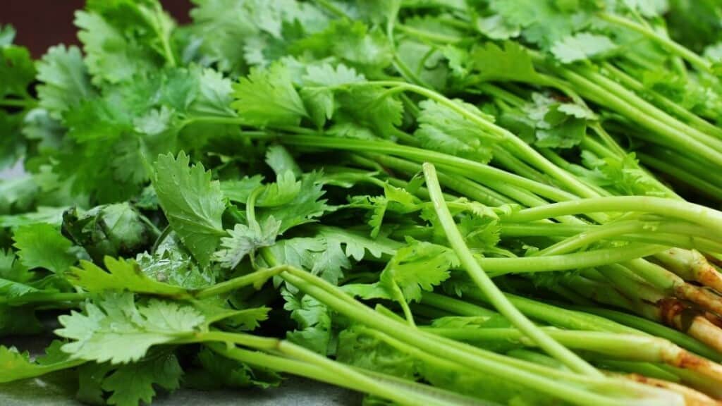 What Do Cilantro and Coriander Mean in Different Countries