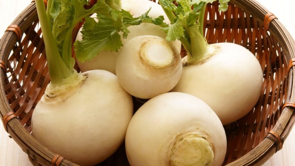 What are turnips