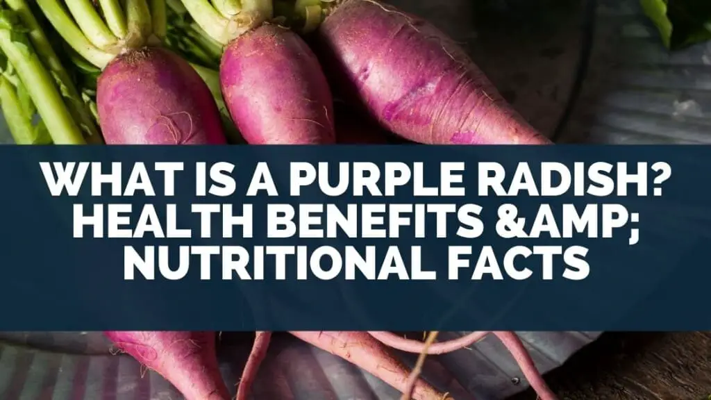 What is A Purple Radish? Health Benefits & Nutritional Facts