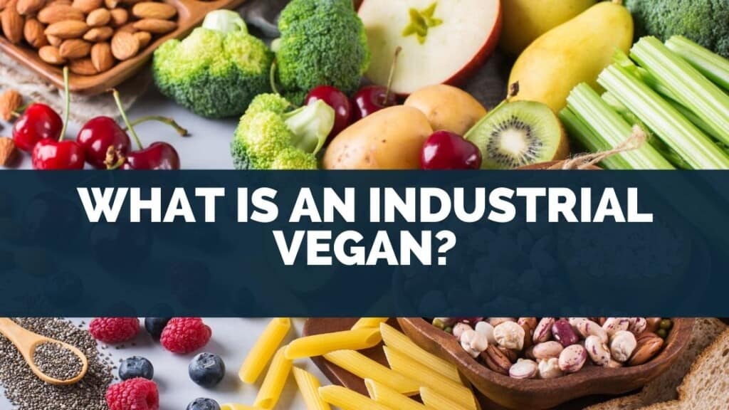 What is An Industrial Vegan?