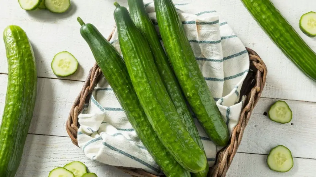 What is a cucumber