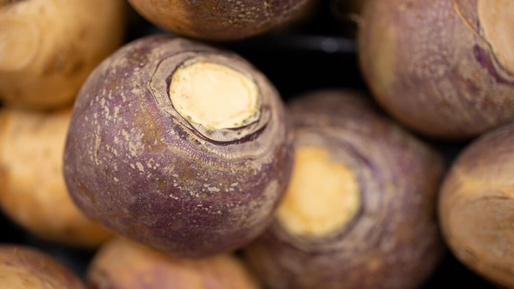 What is a rutabaga