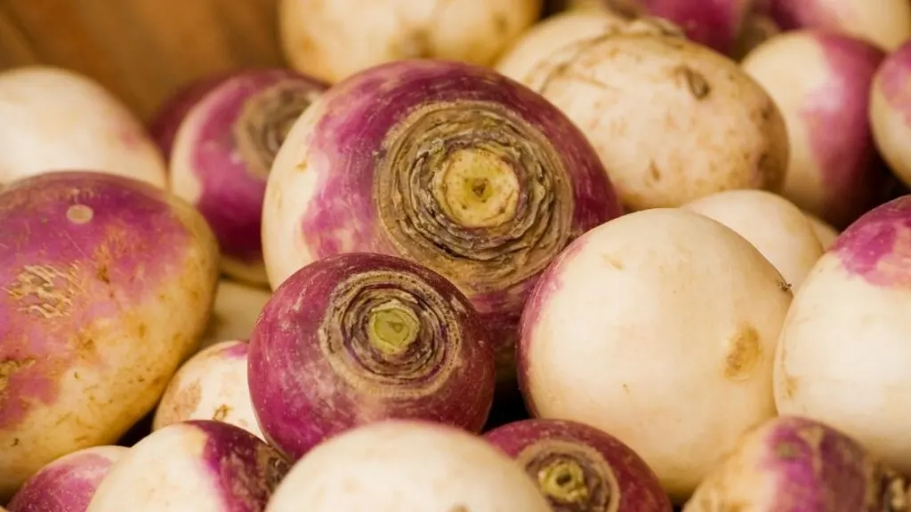 What is the difference between rutabagas and turnips