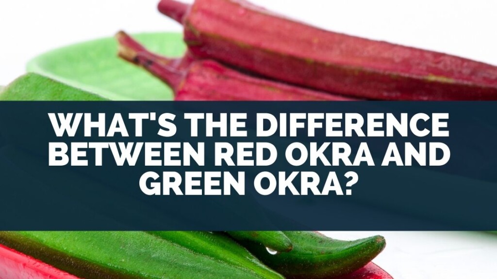 What's The Difference Between Red Okra and Green Okra