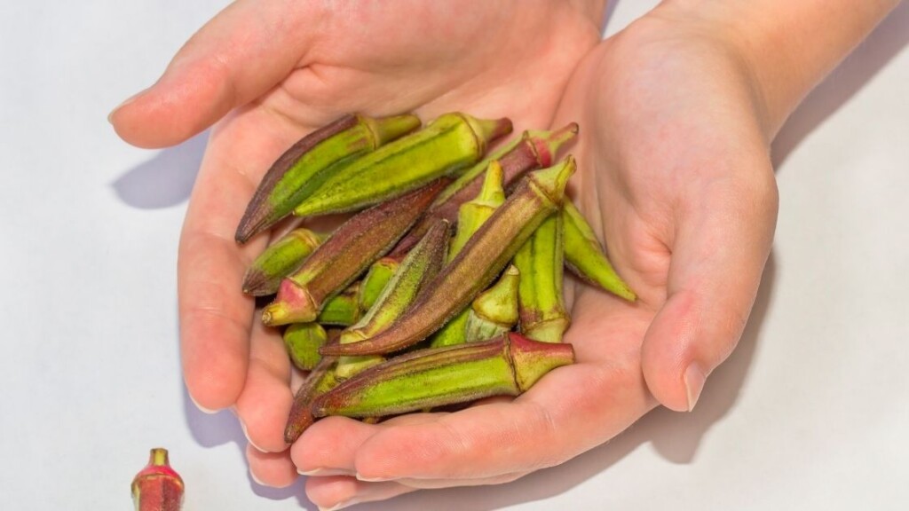 When To Use Variety Of Okra