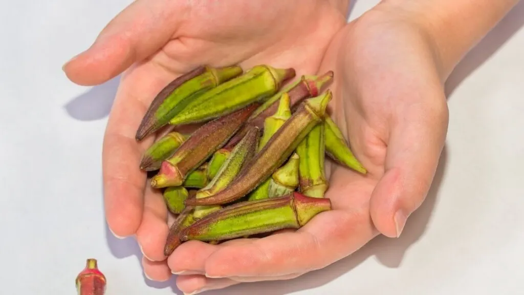 When To Use Variety Of Okra