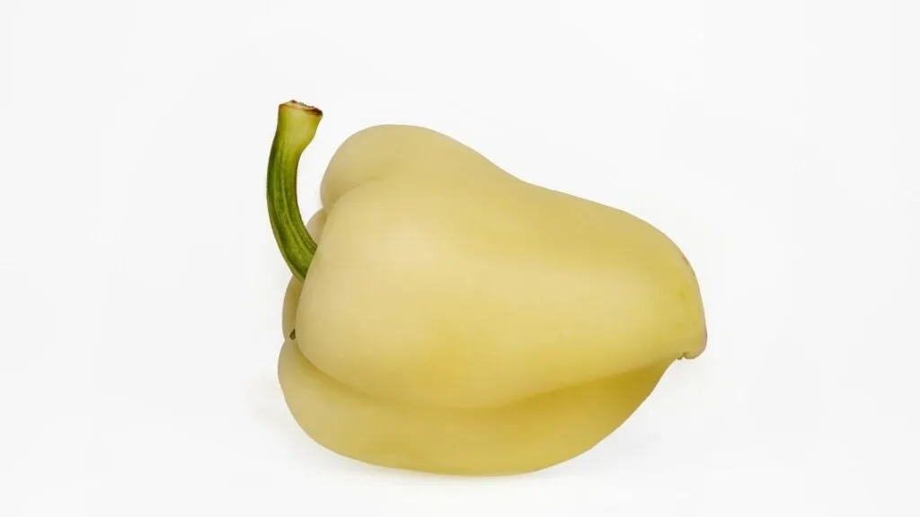 Where do white bell peppers come from? 