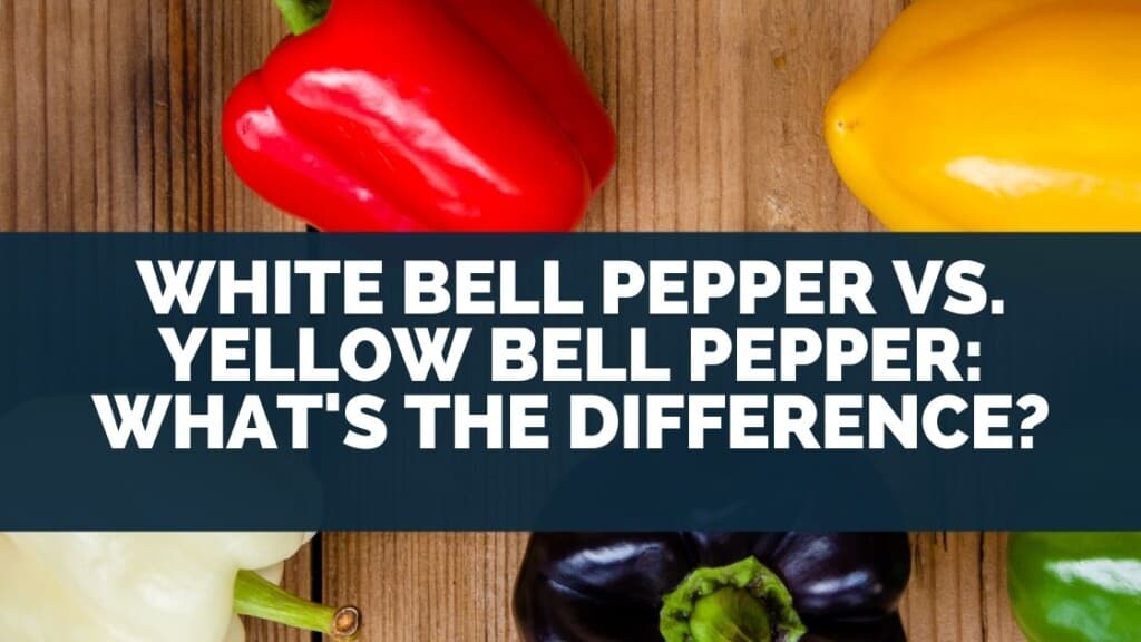 White Bell Pepper vs Yellow Bell Pepper:What's The Difference