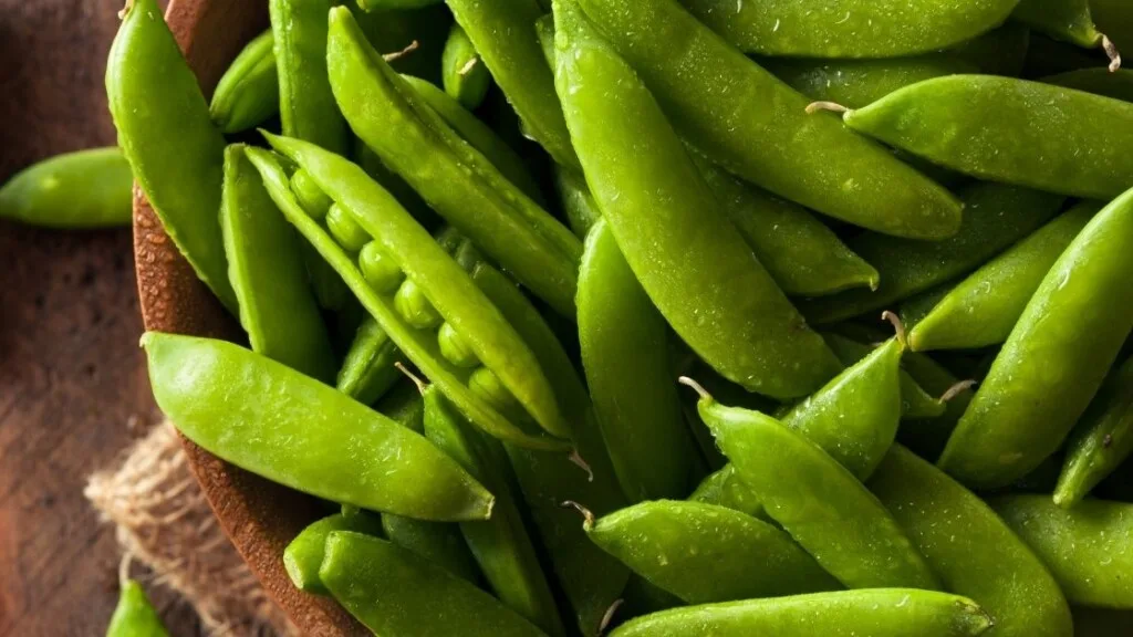 Wrapping up: Snow Peas vs Snap Peas