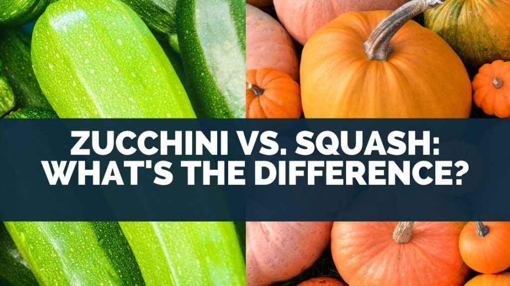 Zucchini vs. Squash: What's The Difference