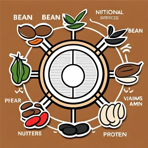The Nutritional Differences Between Various Bean Varieties