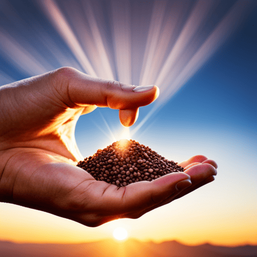 Unlocking The Health Benefits Of Sesame Seeds