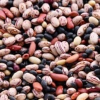 Preserving Beans: Canning And Freezing Techniques