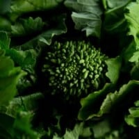 The Art Of Broccoli Rabe: How To Cook And Enjoy It