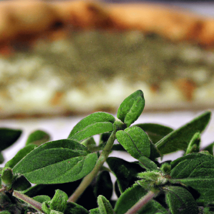 Oregano: The Pizza Herb With A Broad Culinary Scope