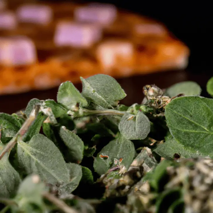 Oregano: The Pizza Herb With A Broad Culinary Scope
